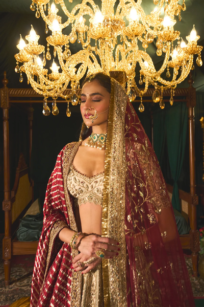 Gold heavy zardosi and zari work Zarir  bridal Lehenga
