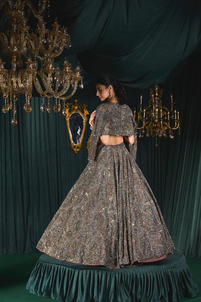 Brown Lehenga Organza Embroidery Cutdana with Open  jacket