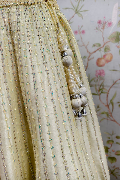 Traditional Embroidered Lehenga and Textured Blouse in Pistachio Color - Designer Ethnic Masterpiece
